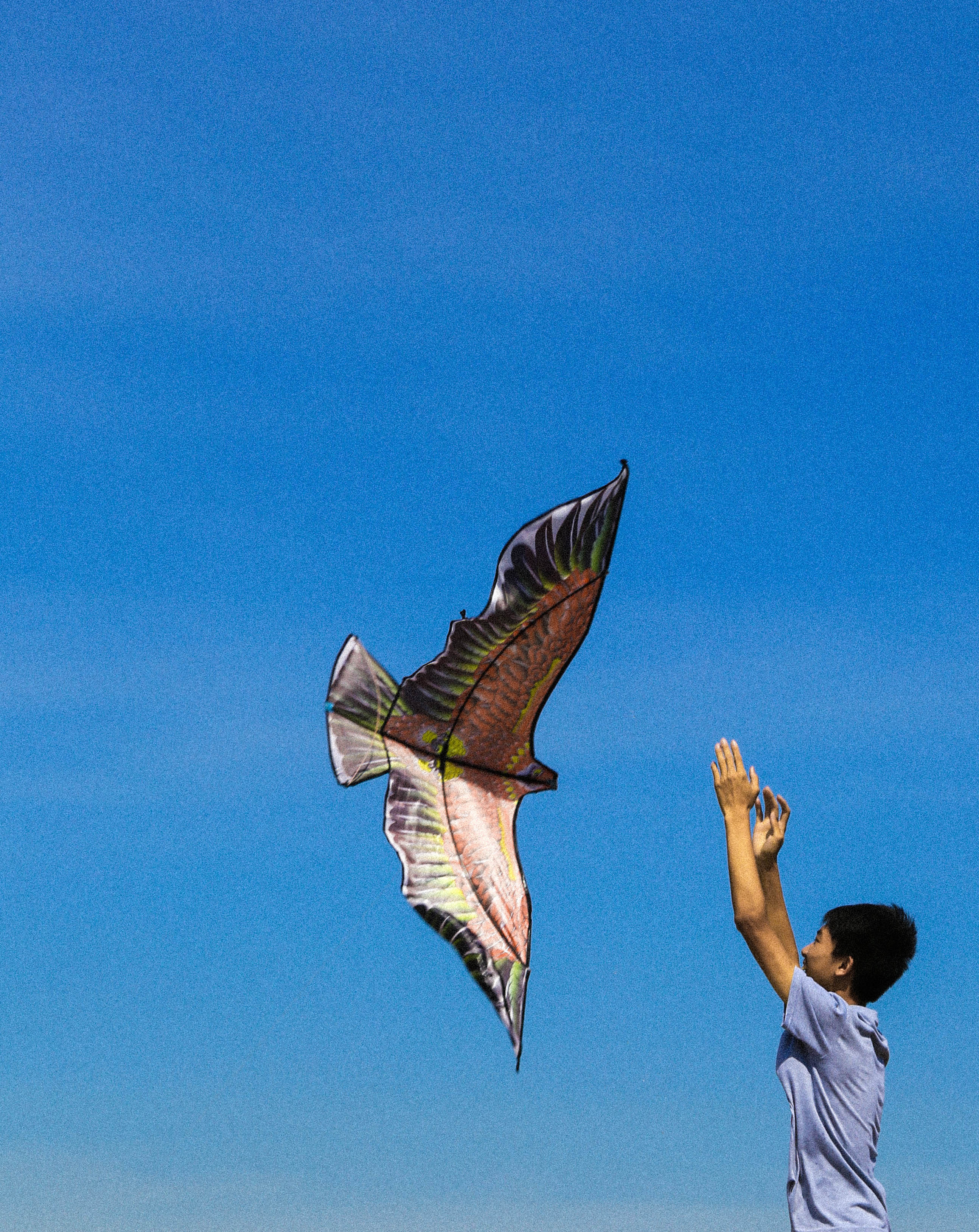 不会放风筝的人