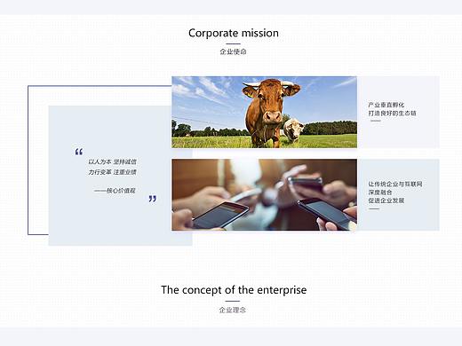 企业官网