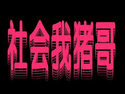 社会我猪哥