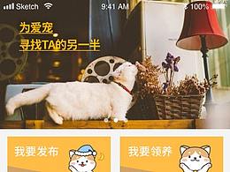 宠物社区