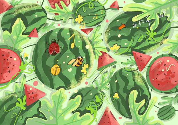 这一年的水果系列插画总结