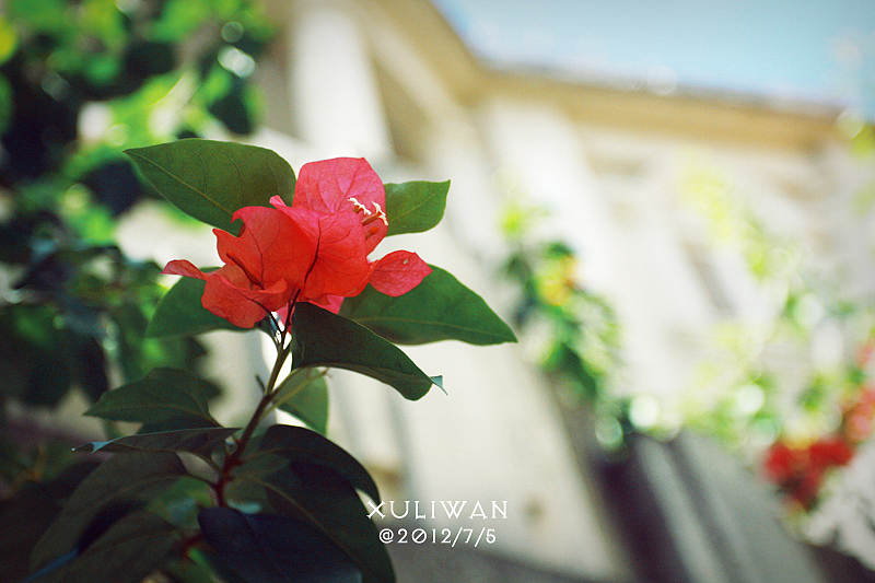 住的小旅馆都是从前的老使馆改建的,破旧古老但别有风味。