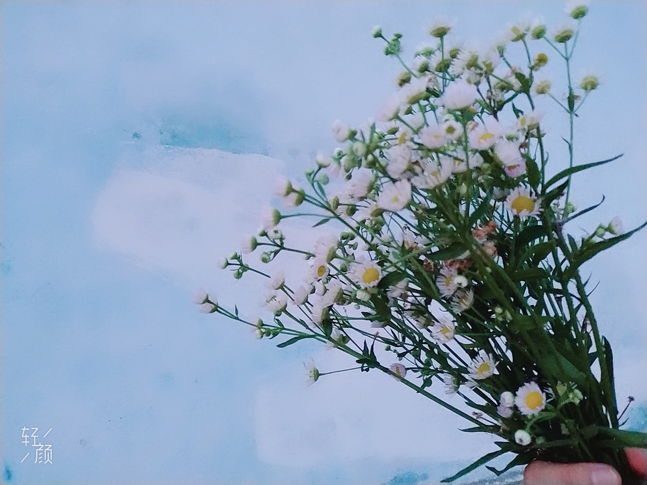 summerの夏天