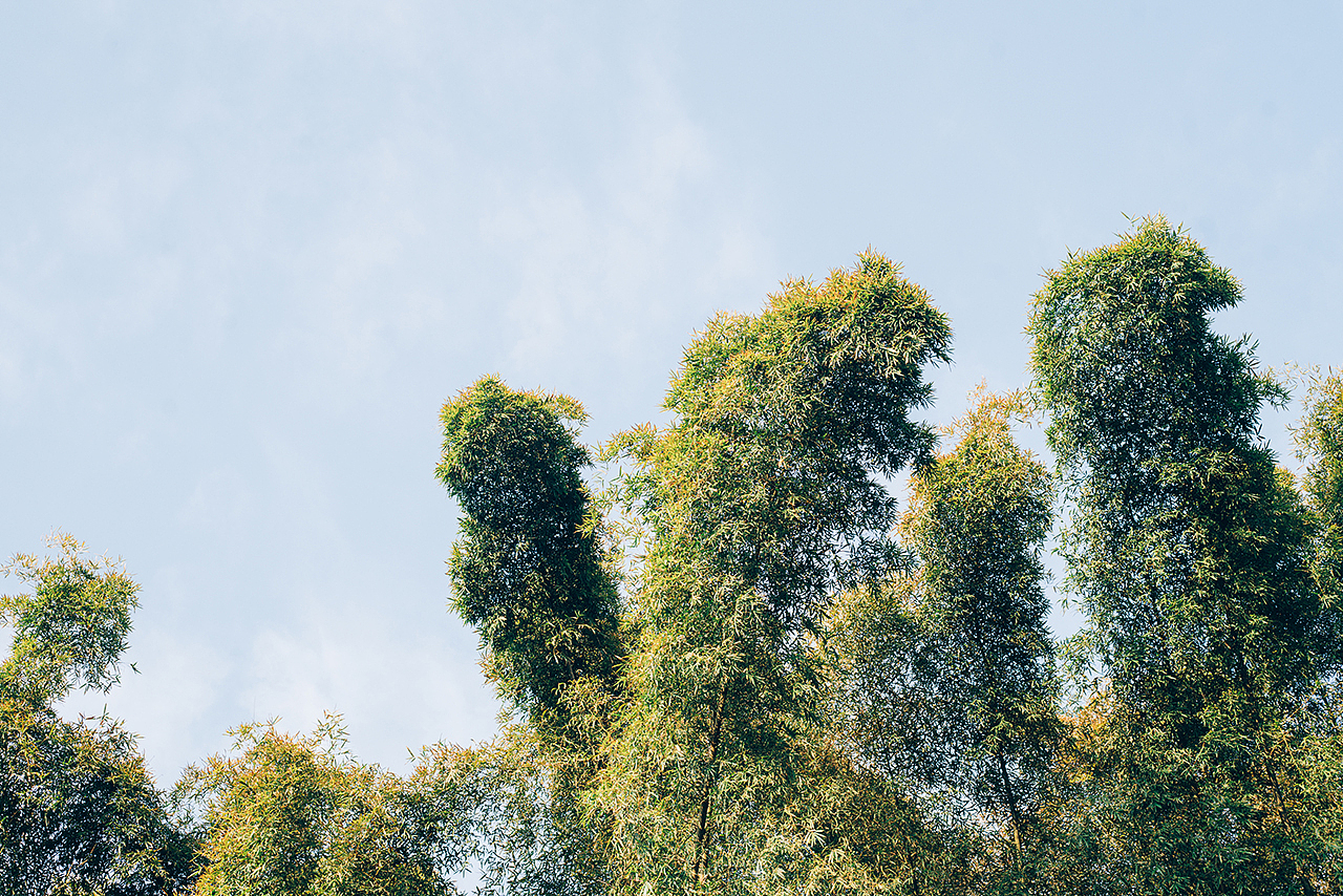 公元第2021个冬天