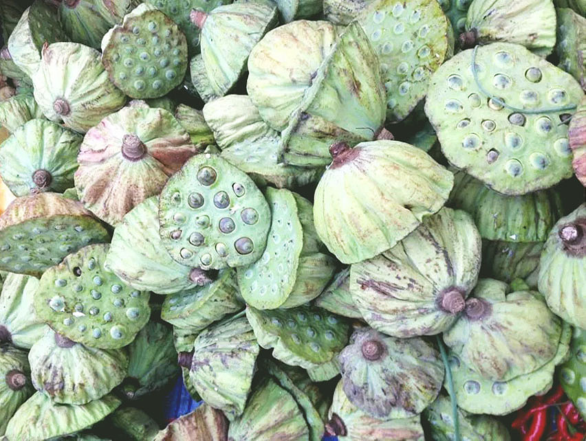 自然的韵律（图ZMzY2ODMxODg=） - 其他摄影 - 站酷设计师249043487原创素材 - 站酷ZCOOL