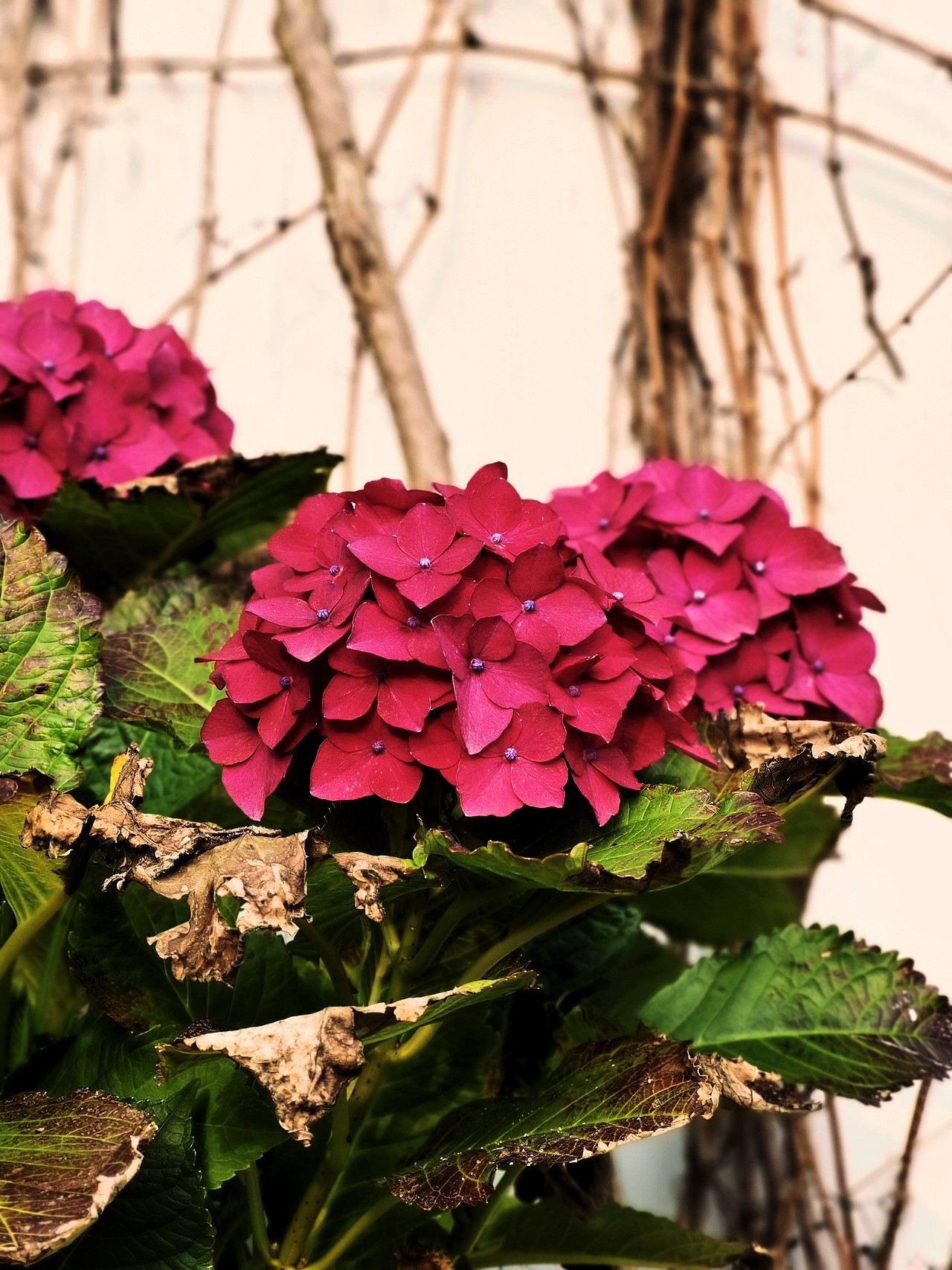 风景（图ZMjY3MDE3MjUy） - 风光摄影 - 站酷设计师哎呀小白菜原创素材 - 站酷ZCOOL