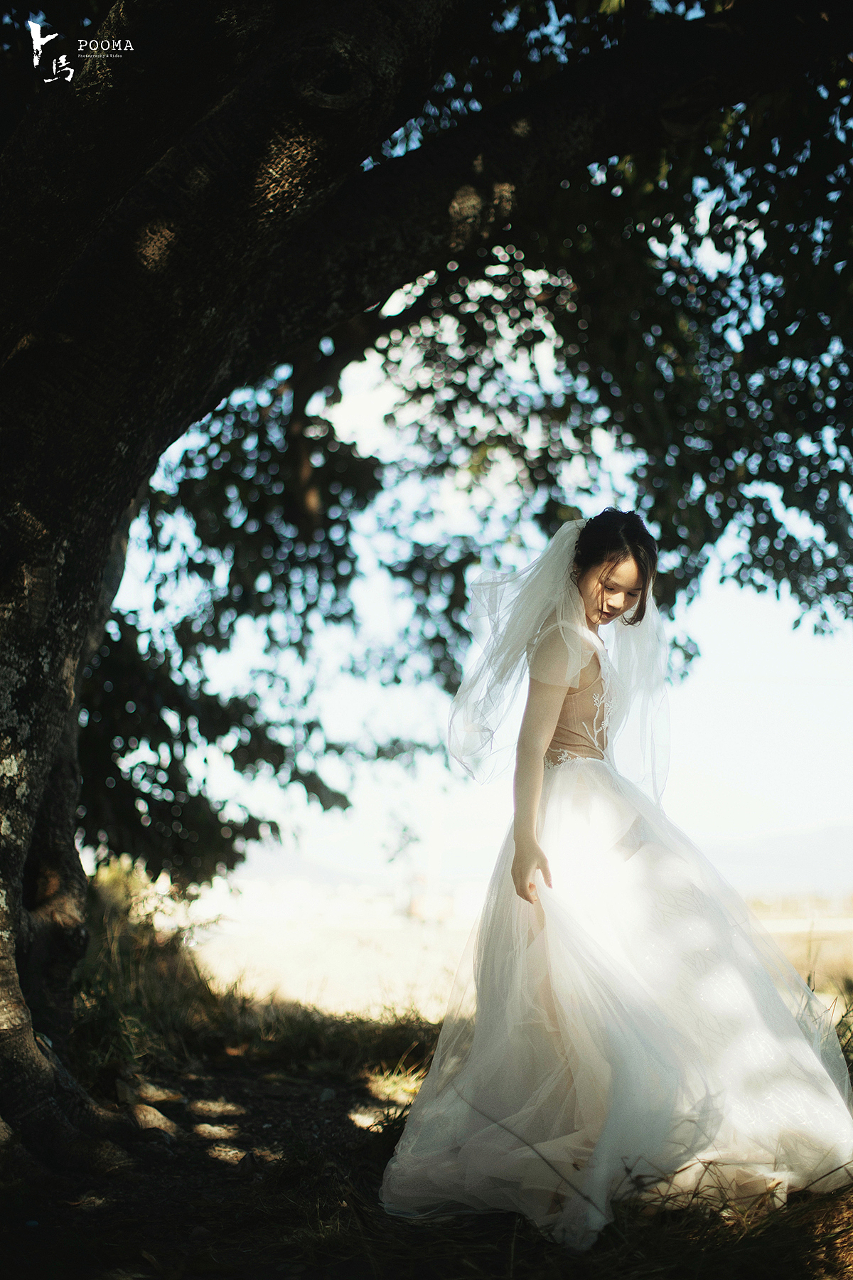 带你去看初冬的森林 | 大理（图ZMjM0ODAxMTIw） - 婚礼摄影 - 站酷设计师Pooma卜马原创素材 - 站酷ZCOOL