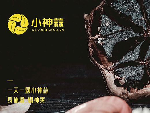 山东火迈品牌策划——黑蒜品牌设计