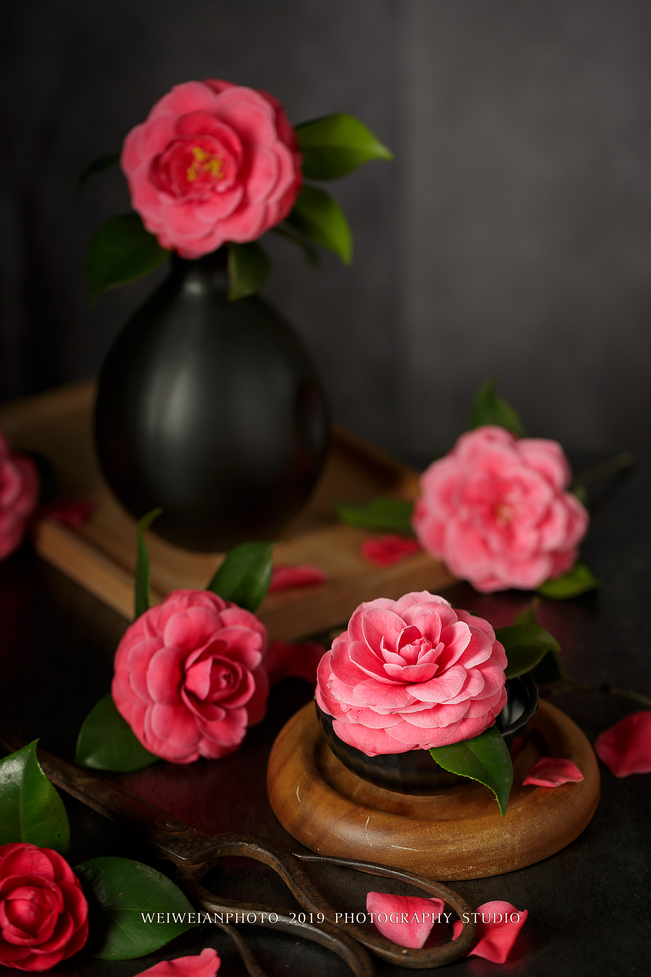 山茶花（图ZMTUyMjQ1Mzgw） - 产品摄影 - 站酷设计师魏薇安原创素材 - 站酷ZCOOL