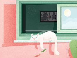 cattie's nap