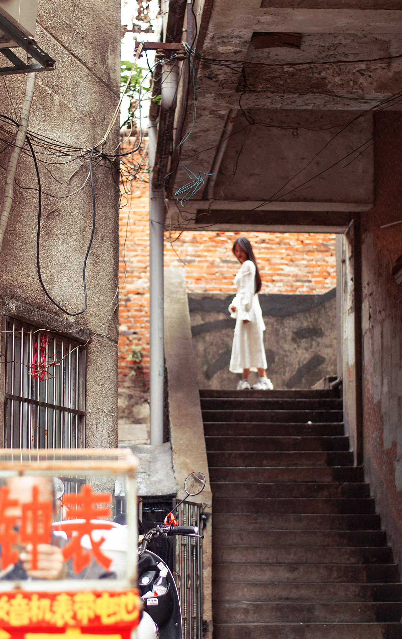 我们一起去水南路看紫荆花和你ヾ(*Ő