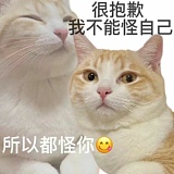 用戶頭像