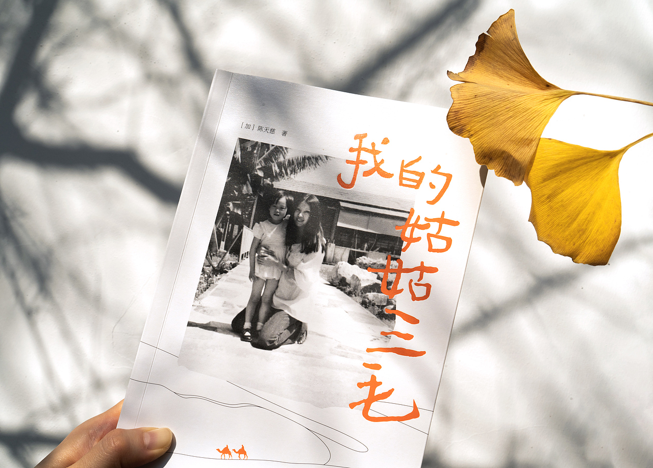 《我的姑姑三毛》