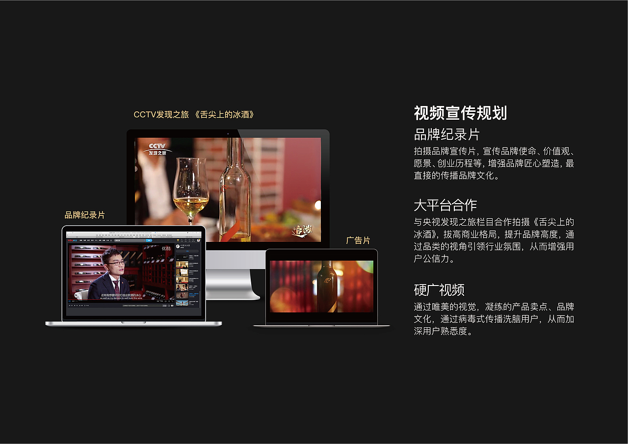 45度冰酒品牌全案