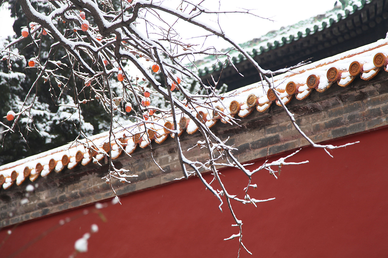 故宫初雪（图ZMTk0MzE2MDQw） - 风光摄影 - 站酷设计师雪梨棉原创素材 - 站酷ZCOOL