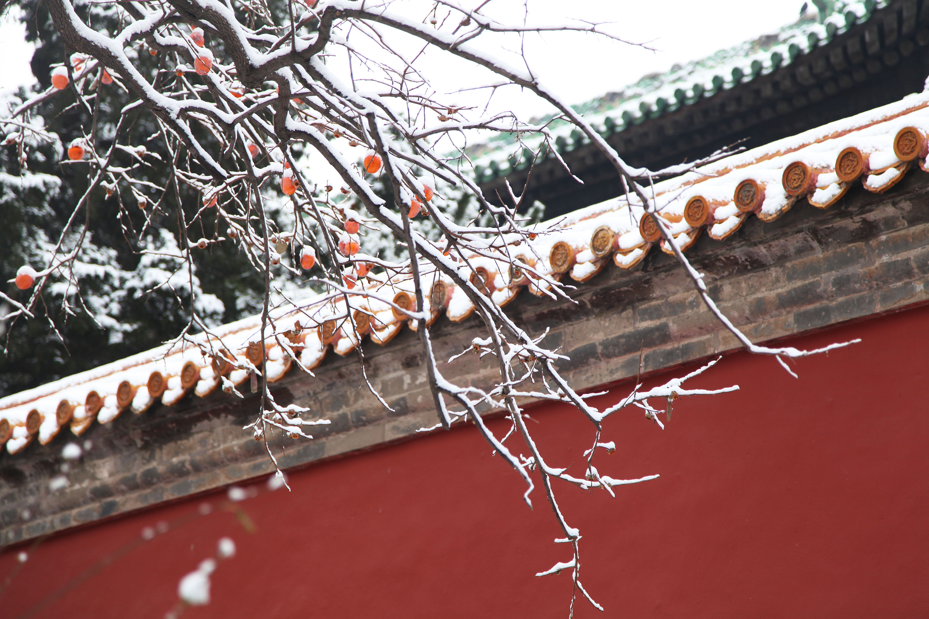 想去南京，南京什么时候下雪呀？ - 知乎