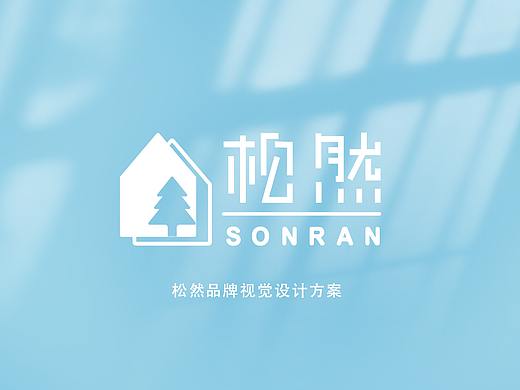 松然医疗品牌方案(练习)