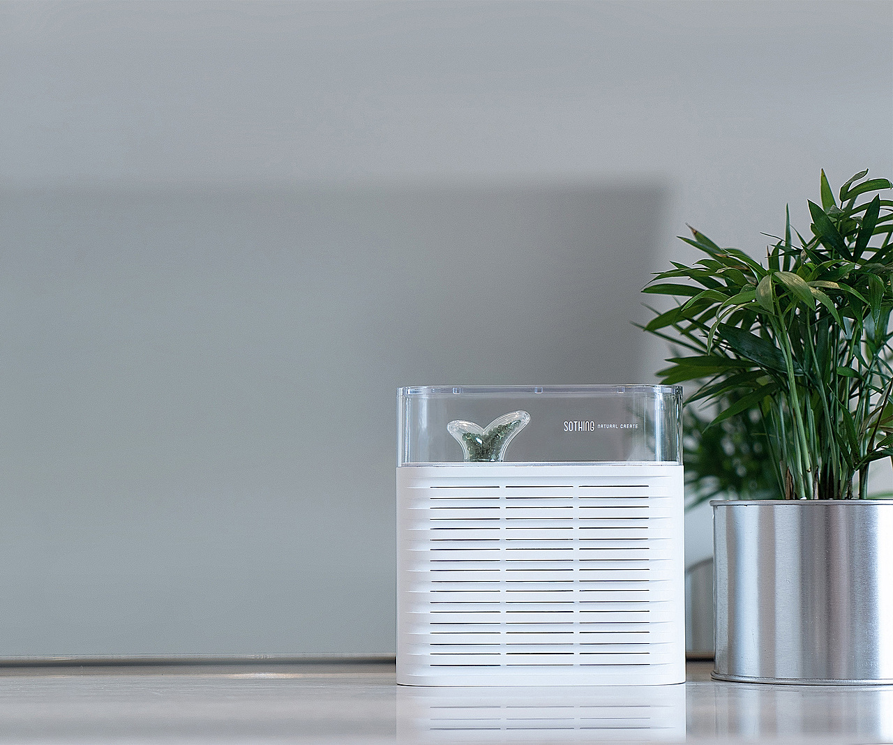 向物柜体除湿器-植物（图ZMTY5OTgwMTMy） - 生活用品 - 站酷设计师SOTHING向物原创素材 - 站酷ZCOOL
