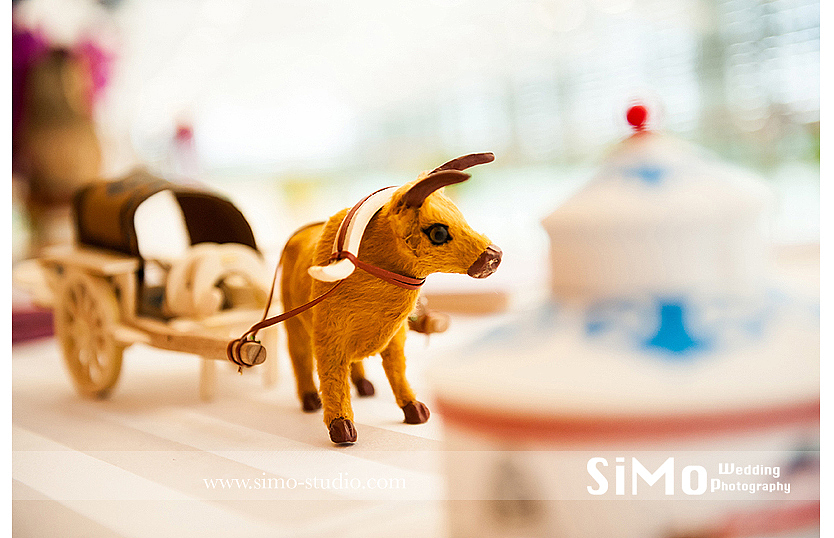 思沫婚礼摄影-蒙古族婚礼