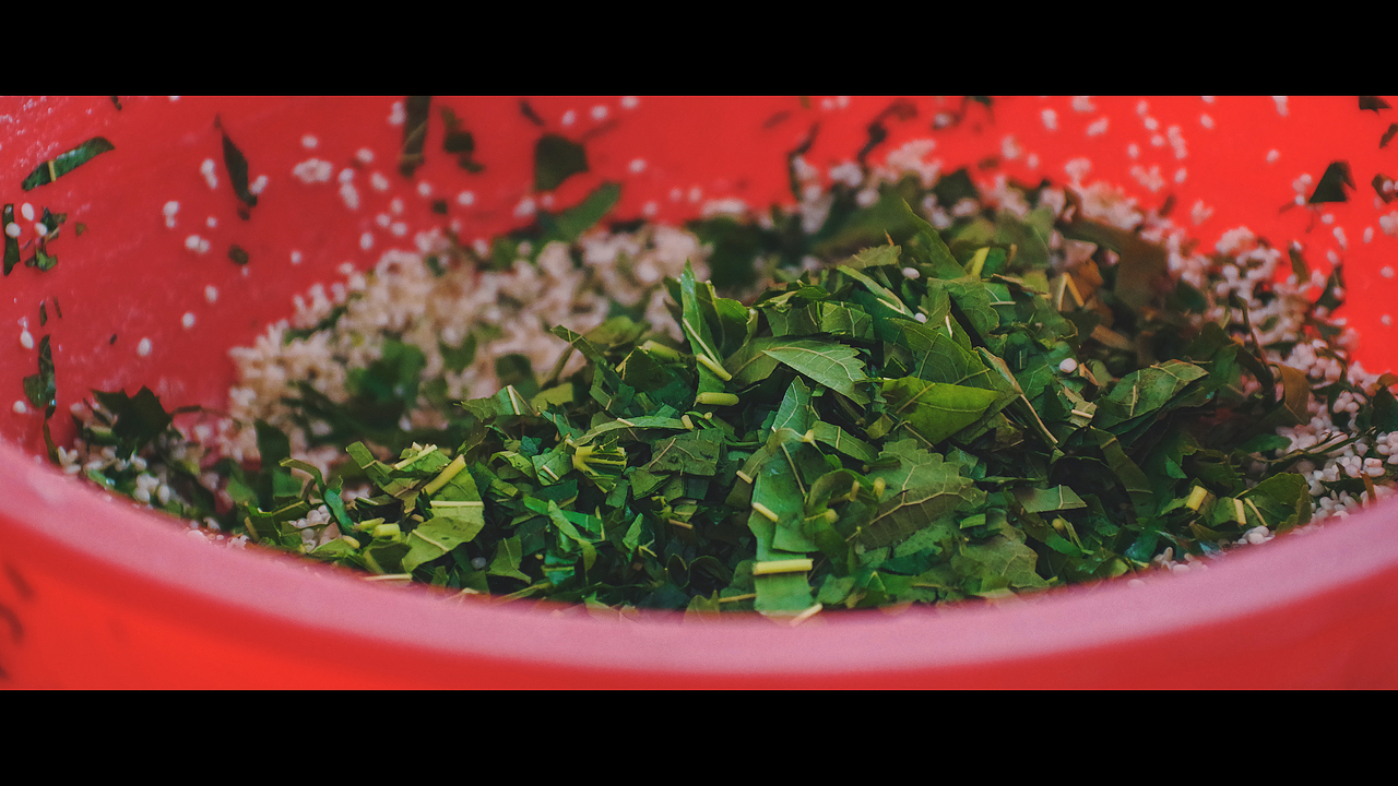 化州超好吃的桑叶粽（图ZMjEzOTU1Njgw） - 产品摄影 - 站酷设计师Carey_原创素材 - 站酷ZCOOL