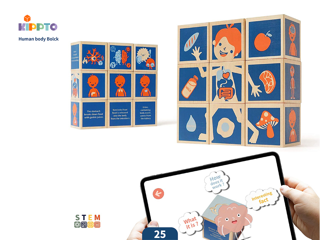 Kippto-产品篇（图ZMjc3MTg0NjQ0） - 玩具 - 站酷设计师权权熊原创素材 - 站酷ZCOOL