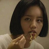 白柳的头像