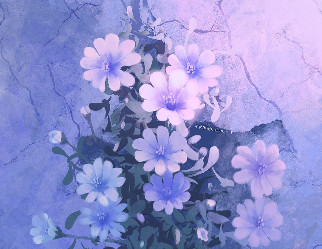 悬崖上的小雏菊（图ZMjMxMDgxMjQw） - 创作习作 - 站酷设计师卡乐筠原创素材 - 站酷ZCOOL
