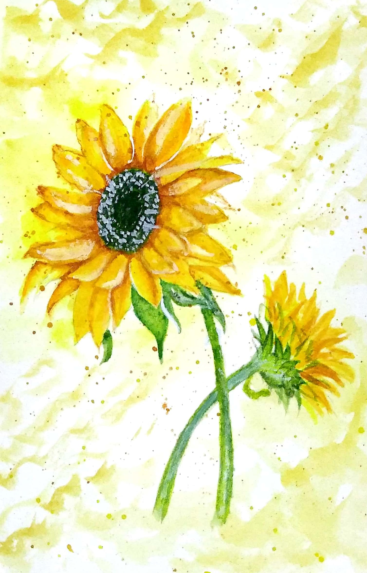 水彩临摹成长史