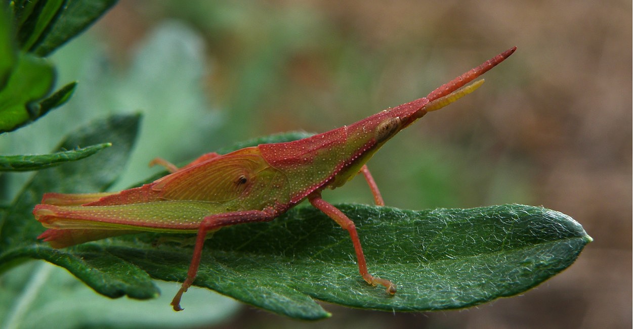 生活杂拍（图ZMjQ4ODYyOA==） - 风光摄影 - 站酷设计师lmzlucky12原创素材 - 站酷ZCOOL