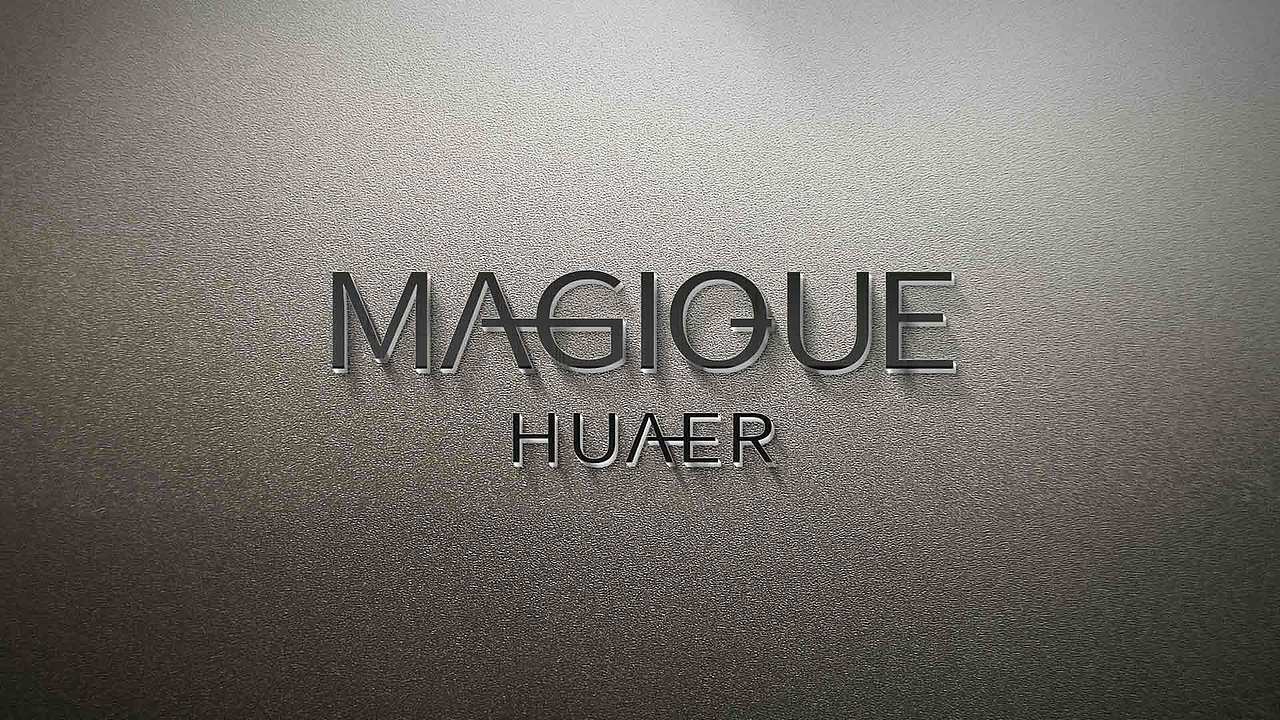 《原创LOGO设计》 美即华尔 护肤品