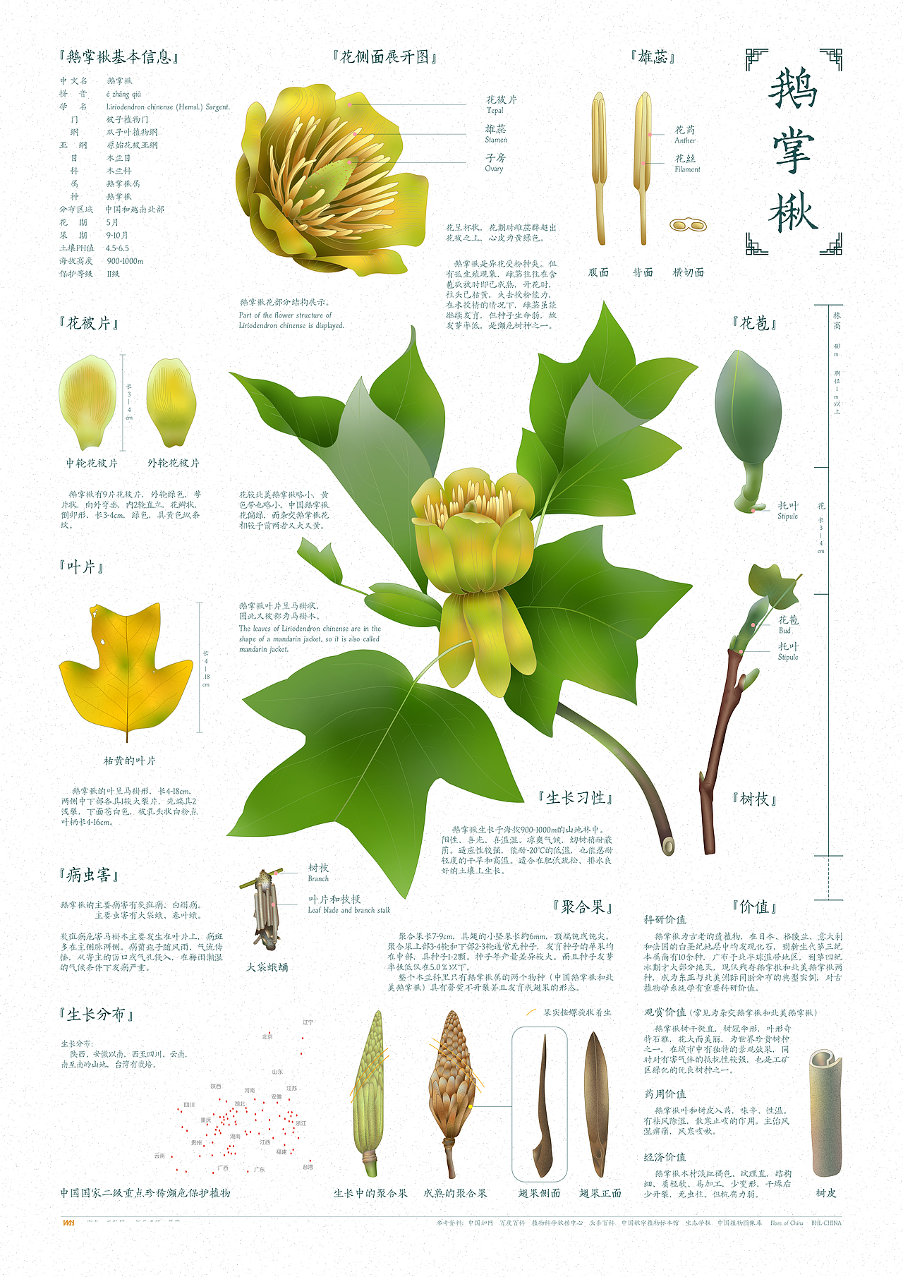 木林子国家自然保护区濒危植物信息图(部分)