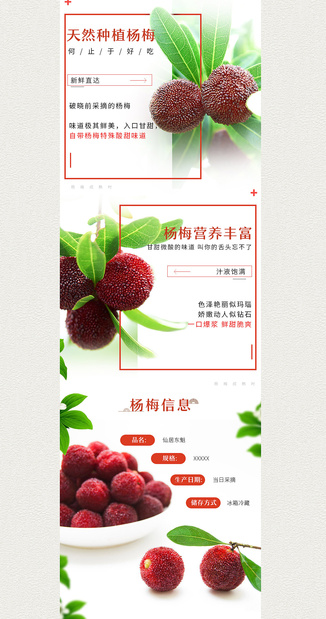 仙居杨梅水果专题 DESIGN（图ZMTExNTkyNDY0） - 电商 - 站酷设计师ZEVeNe原创素材 - 站酷ZCOOL