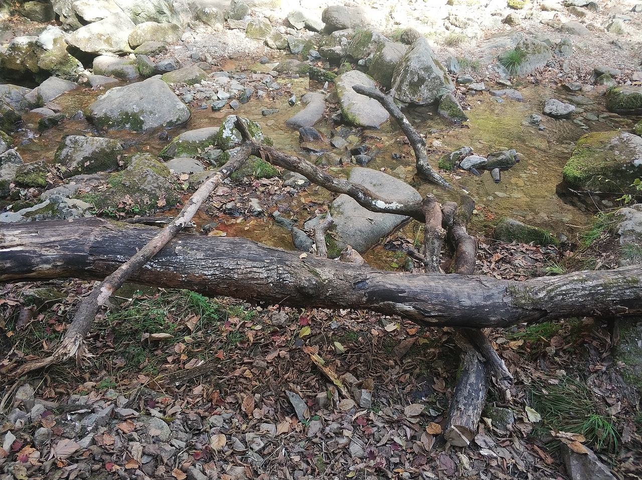 摄影 · 《绿石谷》