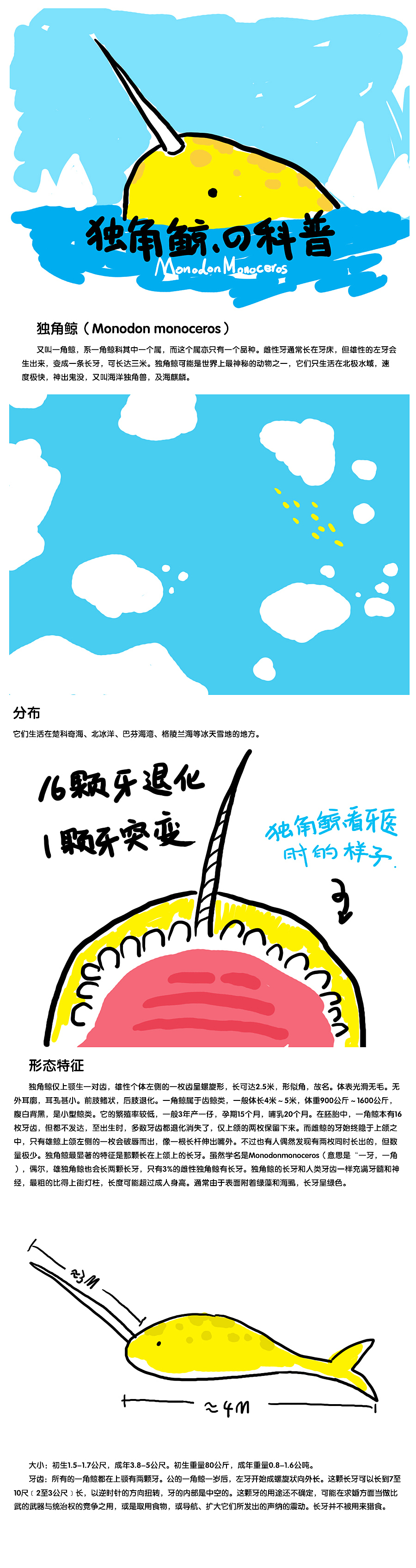 关于读者的柠檬黄色独角鲸问题的回信（图ZMTM2NjYxMDA=） - 新锐潮流插画 - 站酷设计师自由的猞猁原创素材 - 站酷ZCOOL