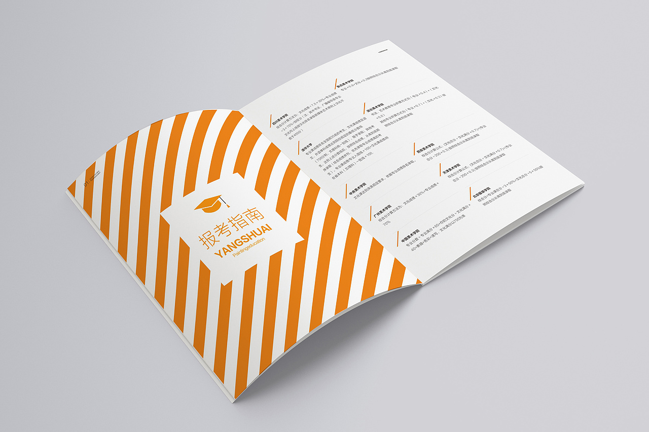 杨帅画室宣传画册