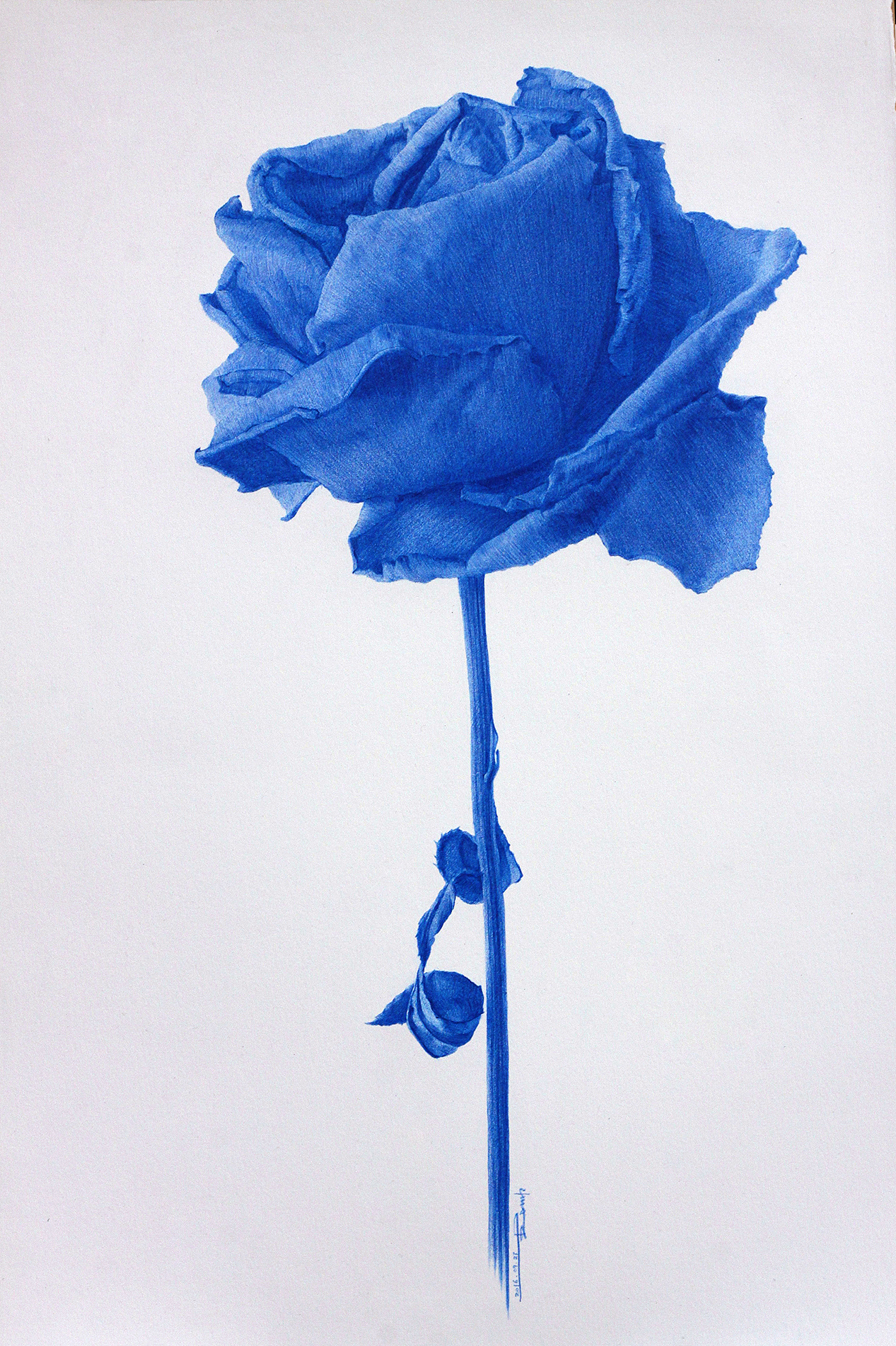 Rosa azul（图ZNjE2ODM1Njg=） - 绘画 - 站酷设计师无主一路原创素材 - 站酷ZCOOL