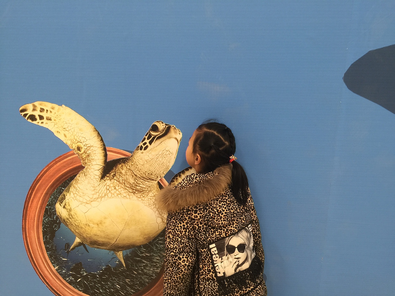 北京海洋馆主题原创经典创意3D画设计