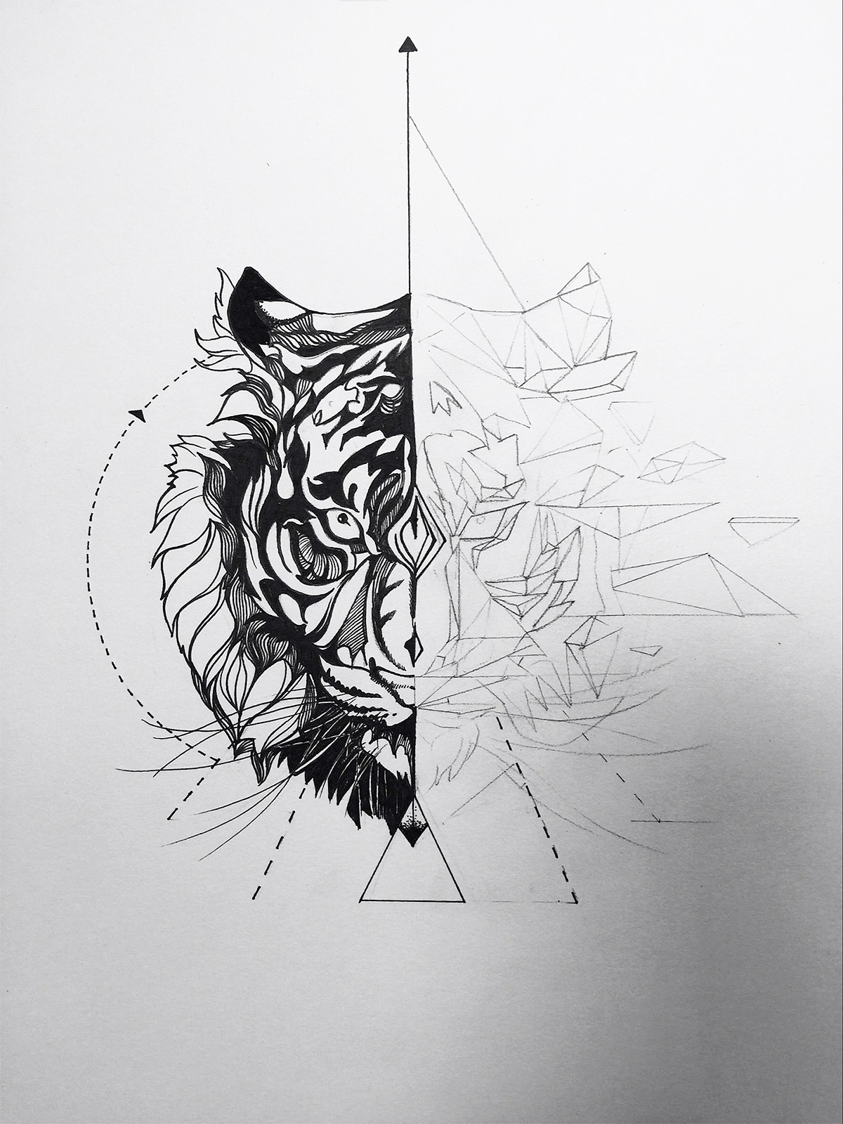 咖啡品牌插画包装(图ZNjY0Njk0NzI=) - 商业插画 - 站酷设计师插画师崔萌萌原创素材 - 站酷ZCOOL