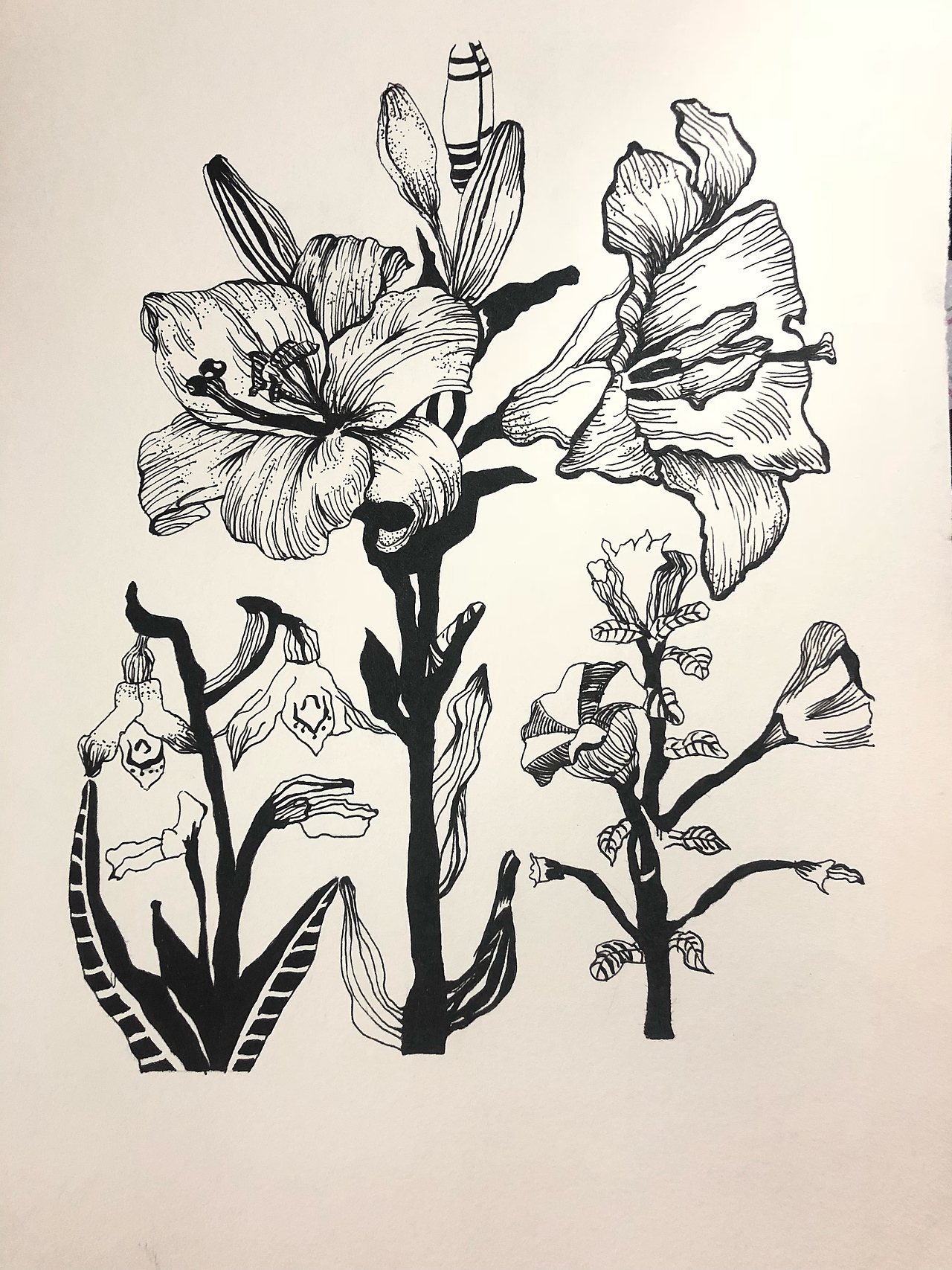 黑白装饰画临摹