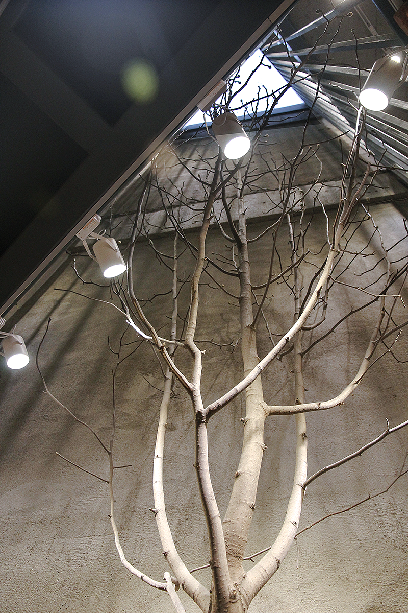 如同“山谷”的一般植物书店