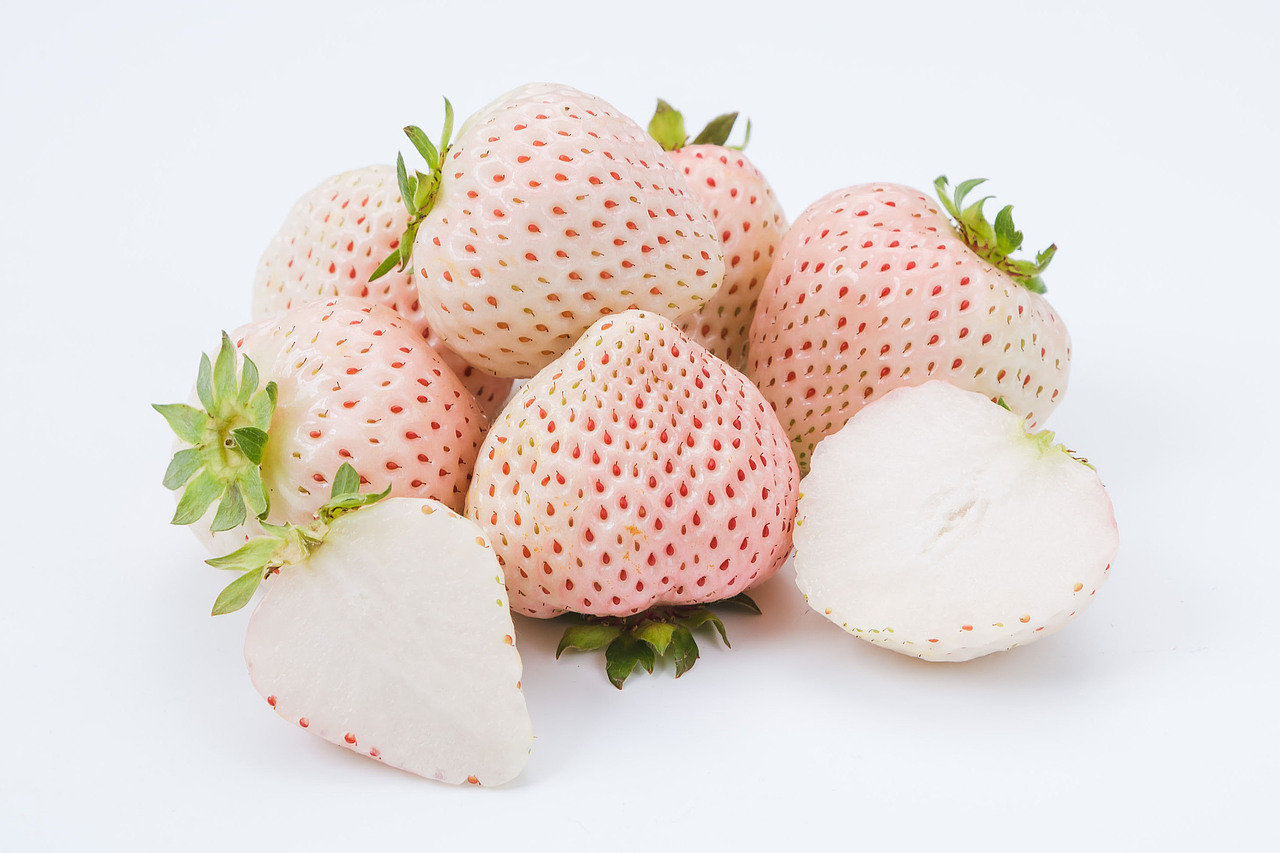 吃不起系列-白草莓（图ZMjQ0MjY2NTg0） - 产品摄影 - 站酷设计师白子梁原创素材 - 站酷ZCOOL