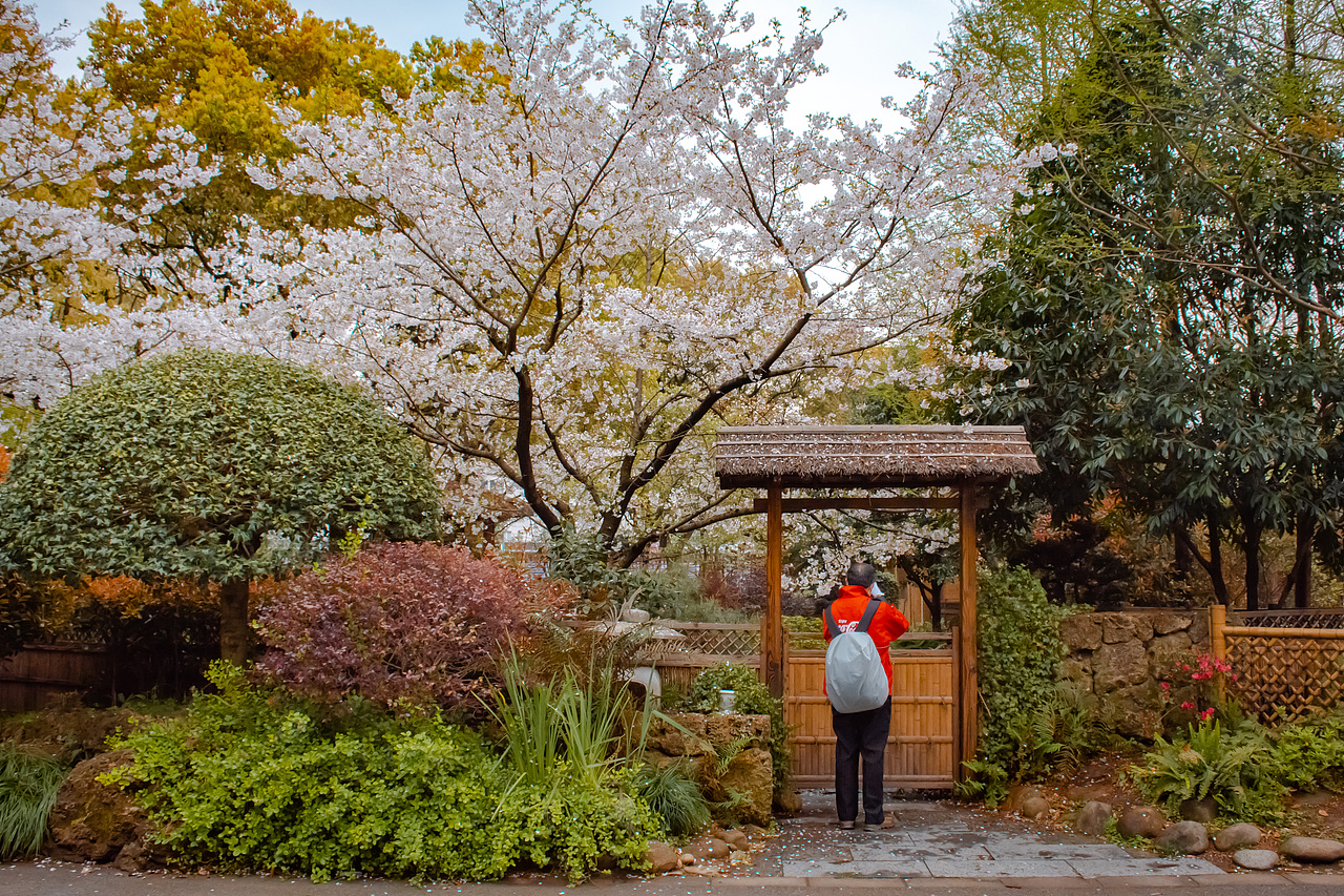 疫情下的植物园