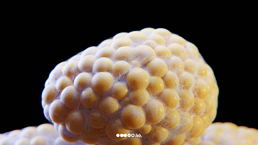 脂肪細(xì)胞（章魚(yú)小丸子）（圖ZMzE1NDc5Mjgw） - 人物/生物 - 站酷設(shè)計(jì)師o(wú)moolab原創(chuàng)素材 - 站酷ZCOOL