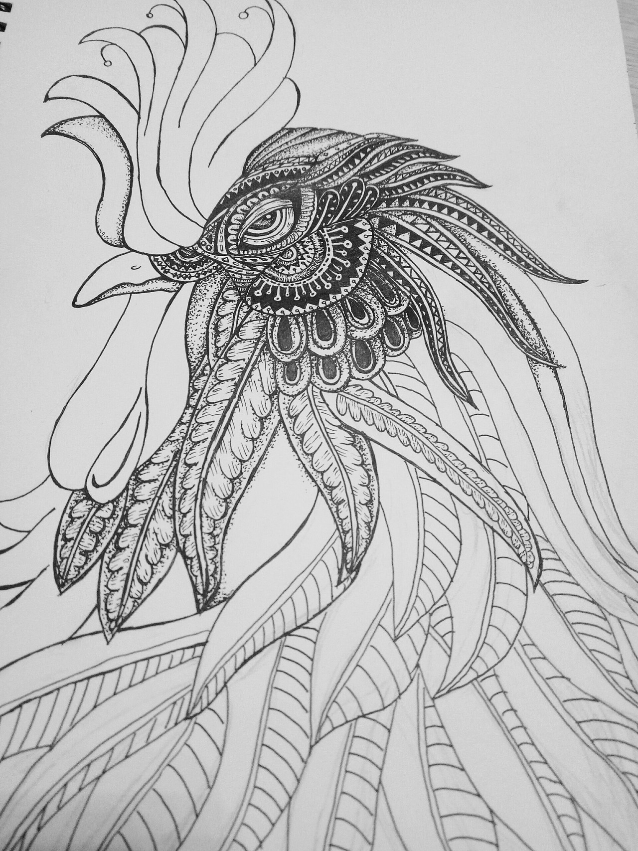 12月到1月上旬的手绘作品