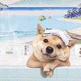 Le2cy的头像