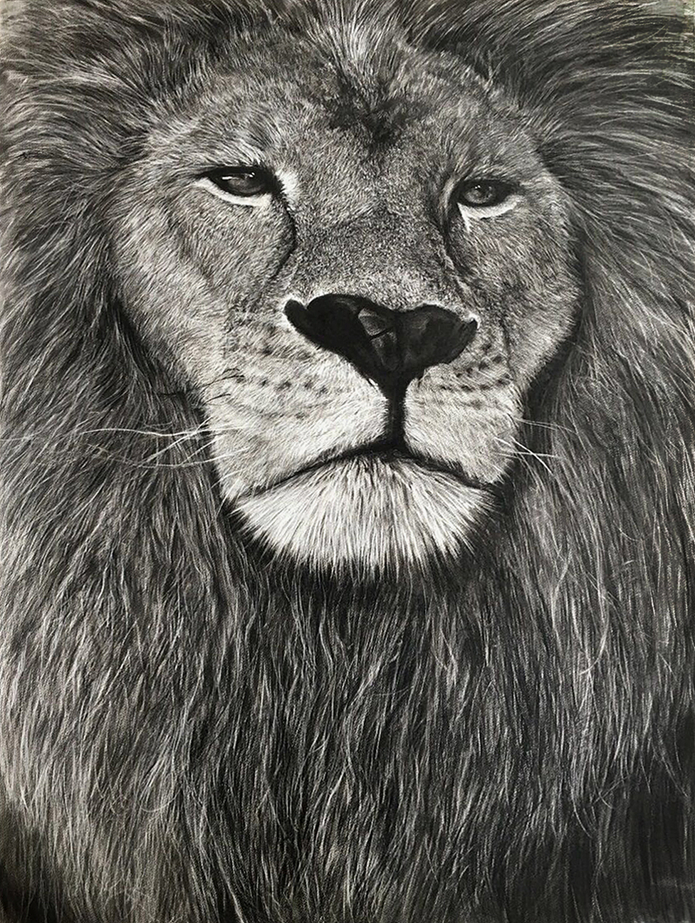 「狮面」（图ZMjg4NDI3OTU2） - 绘画 - 站酷设计师Adirian_Yoco原创素材 - 站酷ZCOOL