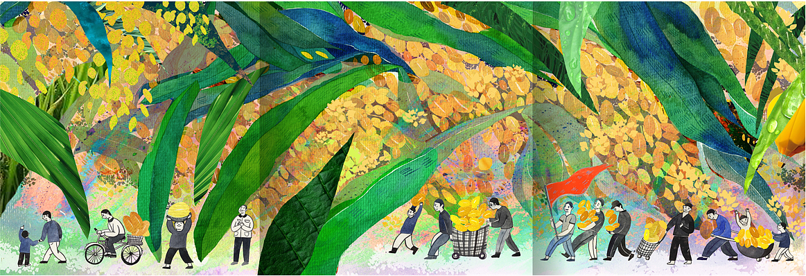 杂交水稻之父袁隆平