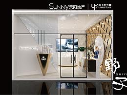  天阳地产户外box 临展原创设计