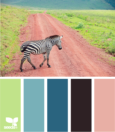 美丽的配色卡啊——04