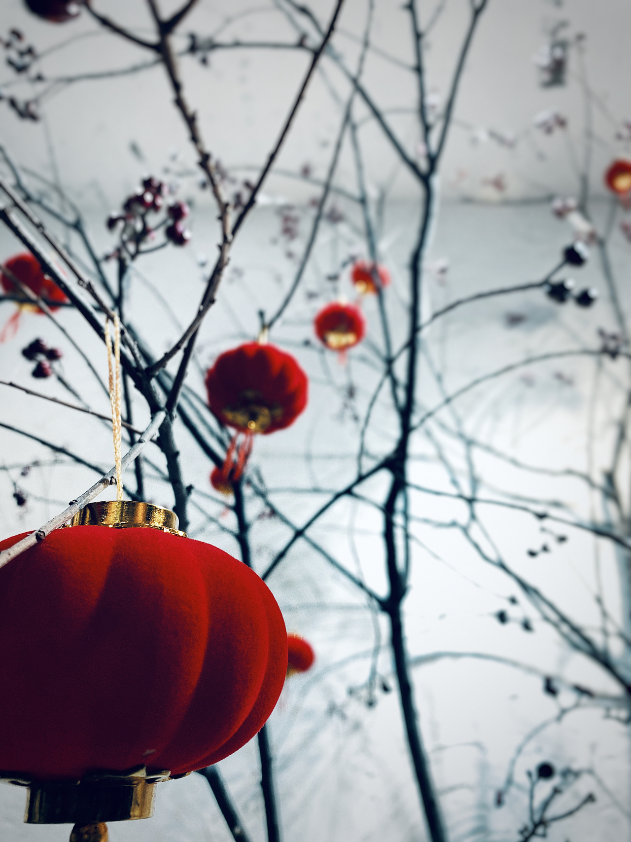 灯笼挂起 年味到